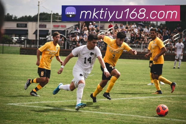 MK体育APP 封面图